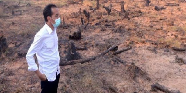 Fuad Bawazier : Mengakhiri Kebakaran Bukan Sekedar Selfie, Maaf Pak Jokowi, Rakyat Tidak Terkesan