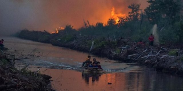 Kebakaran Hutan: Murka Tuhan Akibat Ulah Kita Sendiri