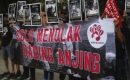 Dulu Dikejutkan Ternak Anjing di Solo, Kini Ternak Babi Di Sragen