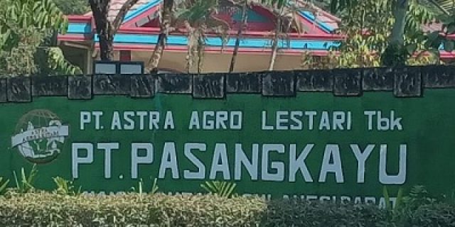 Kejati Sulbar Akan Periksa Saksi Kasus Penyerobotan Hutan Lindung di Pasangkayu