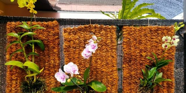 Meng-Harkat Dan Martabat-kan Keset Versus Meng-Keset-kan Harkat Dan Martabat Meng-Harkat Dan Martabat-kan Keset Versus Meng-Keset-kan Harkat Dan Martabat