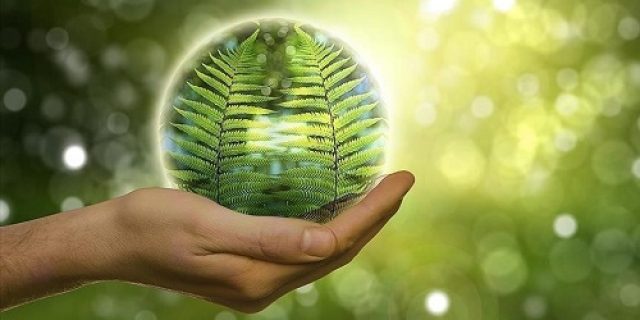 Angin dan tenaga surya menyalip bahan bakar fosil UE pada paruh pertama tahun 2024