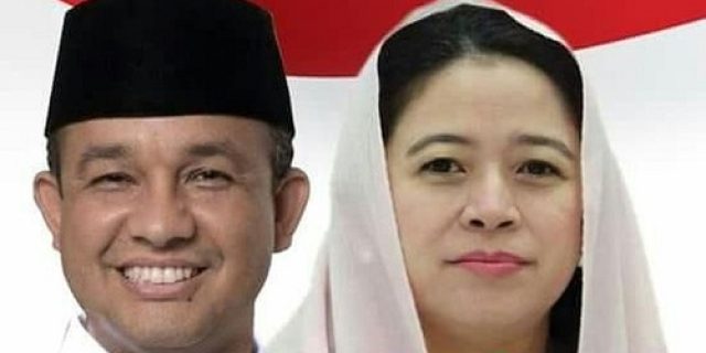 Memaknai Hasil Survey Indikator Politik Duet Puan Anies