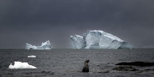 Gletser yang mencair mendorong lonjakan lalu lintas laut Arktik, membentuk kembali perdagangan global dan lingkungan