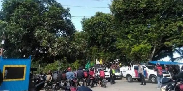 HMI Toli-Toli Sukses Kawal Petani Cengkeh Pertahankan Harga