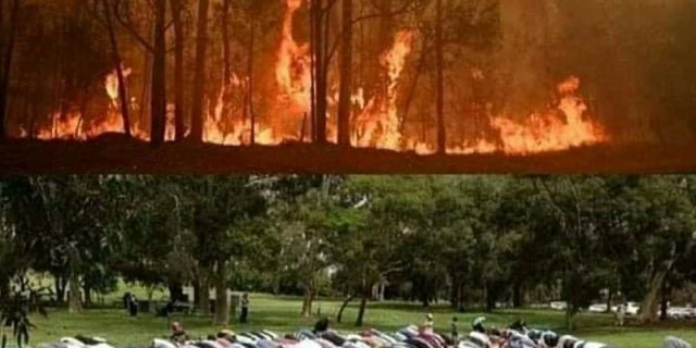 Muslim Australia Shalat Istisqa, Hujan Deras Langsung Padamkan Kebakaran Lahan di Pulau Kanguru