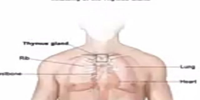 Antisipasi Covid-19 Versi Perguruan Cakra Kembang Karta Bumi