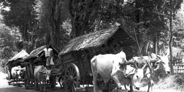 Laporkan Rocky Gerung: Benny Rhamdani Kehilangan Muka dan Martabat Laporkan Rocky Gerung: Benny Rhamdani Kehilangan Muka dan Martabat