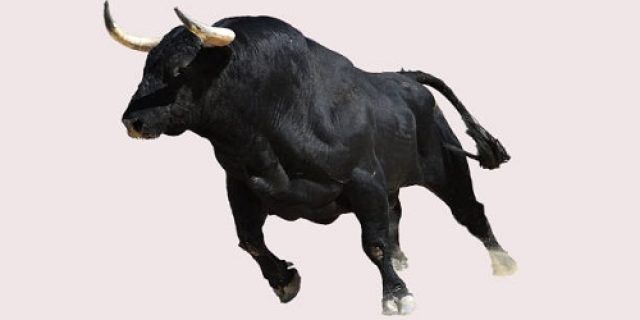Serudukan Banteng Itu (Sepertinya) Akan Disegerakan