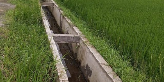 Bangunan saluran irigasi Desa Kayen Dusun Kayen  diduga tidak sesuai spec