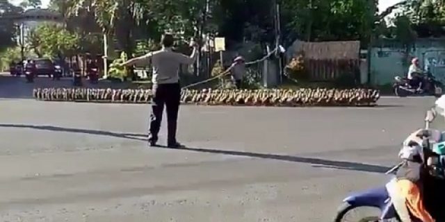 Sutoyo Abadi: Presiden Bebek Lumpuh