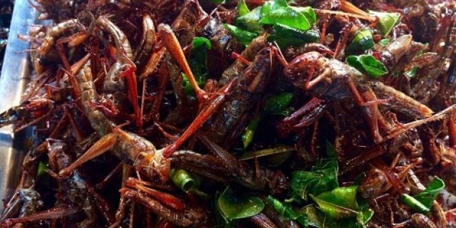 Pok Ame-Ame, Belalang Kupu-Kupu