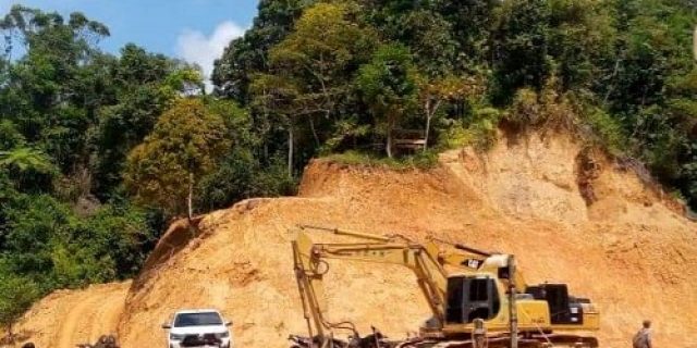 CERI: Gawat, 90 Persen Lahan Tambang Emas PT BMU Yang Diduga Ilegal Barada dalam Kawasan Ekosistem Leuser CERI: Gawat, 90 Persen Lahan Tambang Emas PT BMU Yang Diduga Ilegal Barada dalam Kawasan Ekosistem Leuser