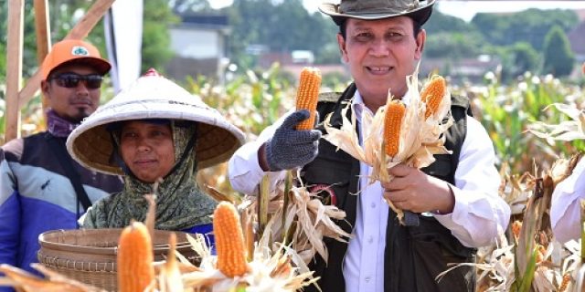 KTN Turen BNPT Selenggarakan Panen Raya Perdana
