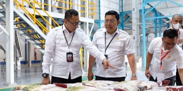 Kepala Bapanas Kunjungi Mesin Rice To Rice BULOG Pastikan Beras Bantuan Pangan Berkualitas Baik