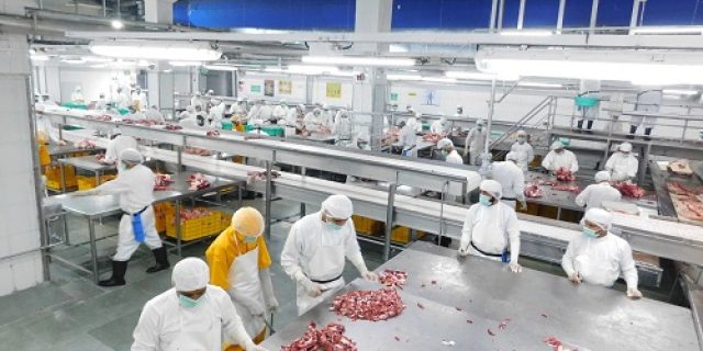 Direksi BULOG Inspeksi Langsung Ke India Pastikan Daging Bebas PMK