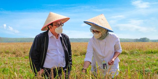Bulog Pastikan Stok Beras Aman Guna Antisipasi Dampak El Nino