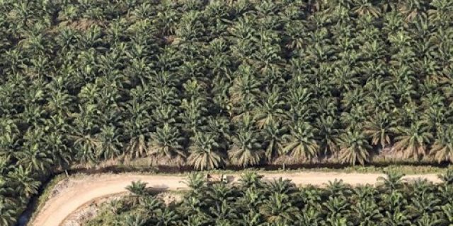 Menjelang Hari Kesaktian Pancasila, Aktivis Lingkungan Minta Sri Mulyani Periksa Pajak Best Agro