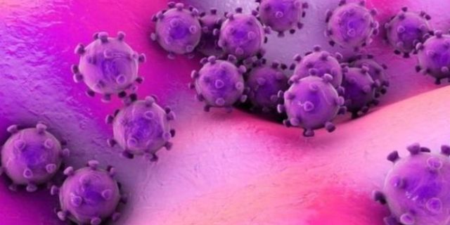 9 Langkah Yang Dapat Anda Lakukan Sekarang Juga Untuk Mencegah Keluarga Terkena Virus Corona