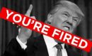 You Are Fired…!!!