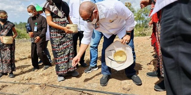 LaNyalla: Impor Bukan Solusi atas Tingginya Harga Jagung LaNyalla: Impor Bukan Solusi atas Tingginya Harga Jagung
