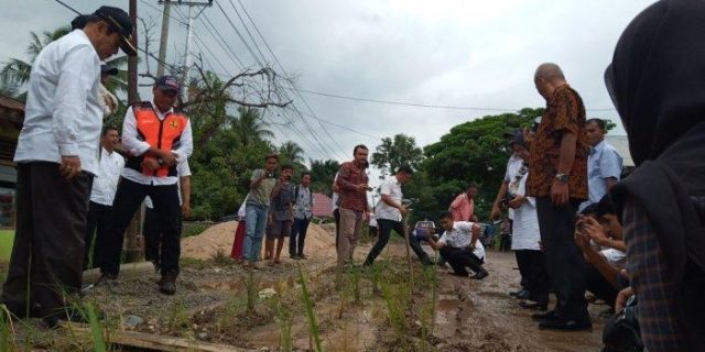 Viral : Aksi Cerdas Emak-Emak Sumbar, Jalan Becek Ditanami Padi, Pemprov Sumbar Langsung Ke Lokasi