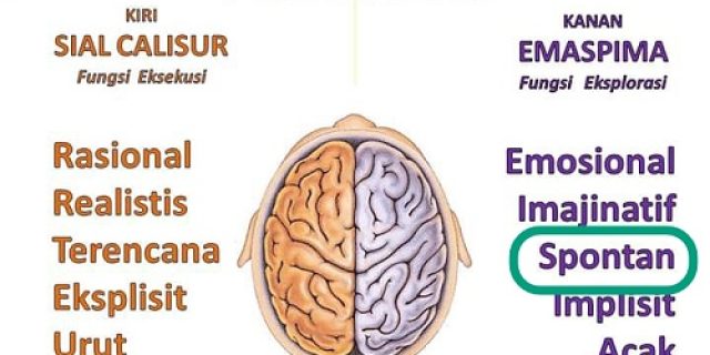 Mengungkap Fungsi Otak Kanan, Spontan si Dahsyat Yang Sering Diabaikan