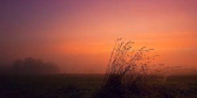 Blue Arrow Strategy: Ilusi