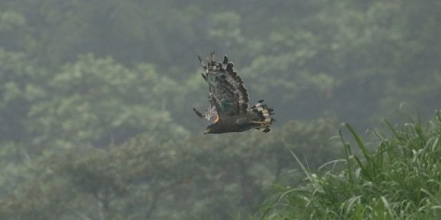 Selesai Tapi Belum Berakhir