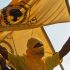 Pengamat P3S Jerry Massie Ungkap Demi Selamatkan Golkar, Bahlil Didesak Mundur