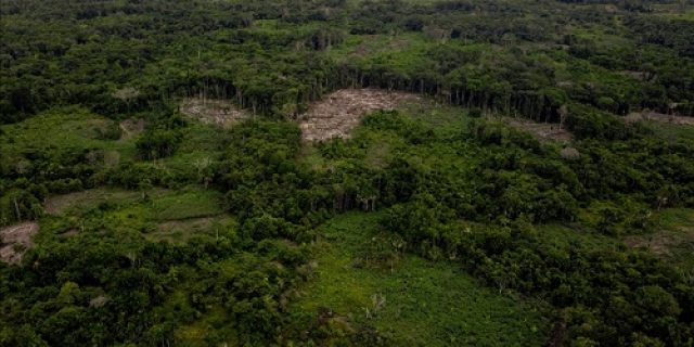 Amazon mendekati ‘titik tak bisa kembali,’ ilmuwan memperingatkan menjelang COP30