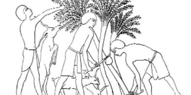 Resume Buku “The Secret History of the World” Bab 2: Sebuah Jalan Singkat di Hutan Kuno