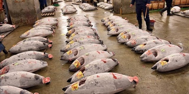 Tiongkok, Jepang adakan pembicaraan tentang larangan impor makanan laut Tiongkok, Jepang adakan pembicaraan tentang larangan impor makanan laut