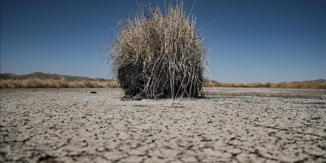 Studi mengaitkan kekeringan berulang selama berabad-abad dengan kemunduran peradaban Lembah Indus