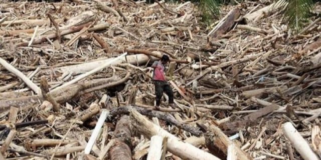 Banjir Bandang Di Sumatra: “Dosa Ekologi”