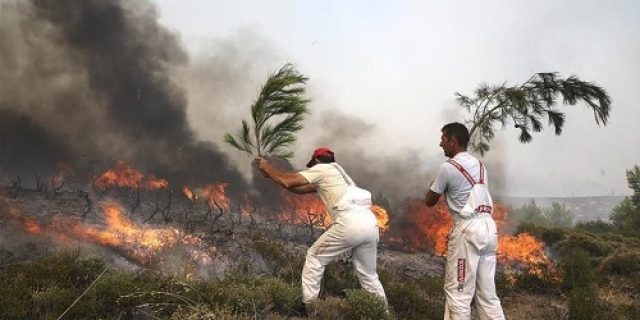 Studi: Perubahan iklim meningkatkan ancaman kebakaran perkotaan di seluruh dunia