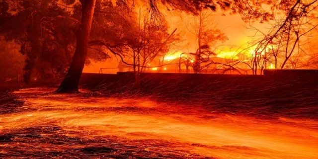 Politik Dalam Kebakaran LA