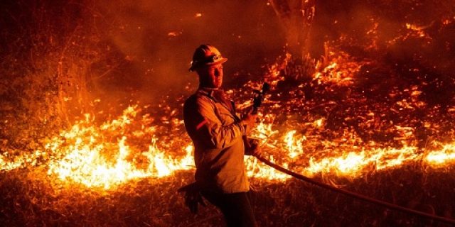 Apakah perubahan iklim menjadi penyebab kebakaran hutan di California?
