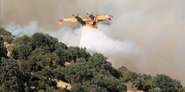 Gelombang panas memicu kebakaran hutan di wilayah barat daya AS, sehingga memaksa evakuasi massal