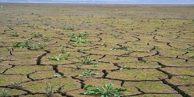 World Wildlife Fund: Lima tahun ke depan penting bagi upaya global untuk memerangi krisis iklim