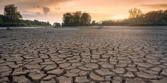 PBB memperingatkan, Kekeringan global merugikan dunia lebih dari $300 miliar per tahun
