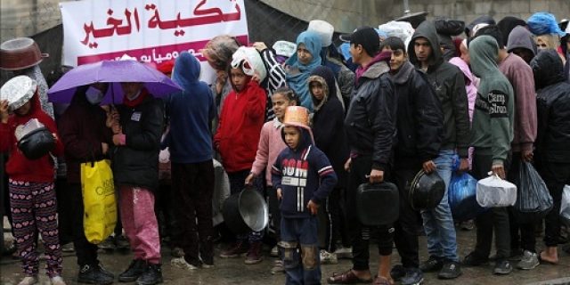 Akibat pengeboman dan blokade Israel di Gaza, kelaparan mengancam manusia dan hewan