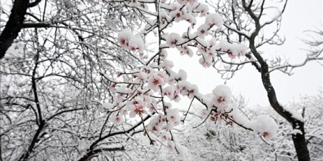 WMO memperkirakan 55% kemungkinan La Nina lemah dalam beberapa bulan mendatang