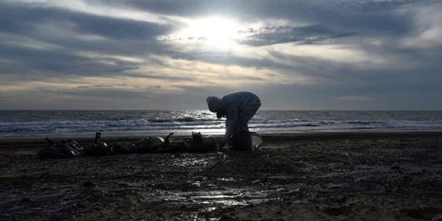 Rusia bersihkan pantai setelah tumpahan minyak Laut Hitam, umumkan keadaan darurat di Krimea Rusia bersihkan pantai setelah tumpahan minyak Laut Hitam, umumkan keadaan darurat di Krimea