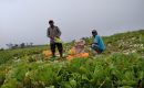 Sejahterakan Petani,  Lumajang Akan Gelar Kampanye Beli Bahan Langsung ke Petani