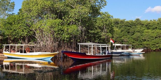 Penguasaan STEM Dalam Menyelesaikan Masalah Maritim Melalui Pendekatan ICZM UntuK Kebangkitan Ekonomi Biru