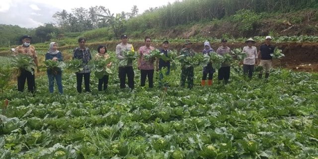 Pemdes Bangelan Kembangkan Food Estate guna dukung Konsep Edu Agro Wisata