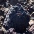 Wapres Afrika Selatan: Mineral kritis di pusat industrialisasi Afrika