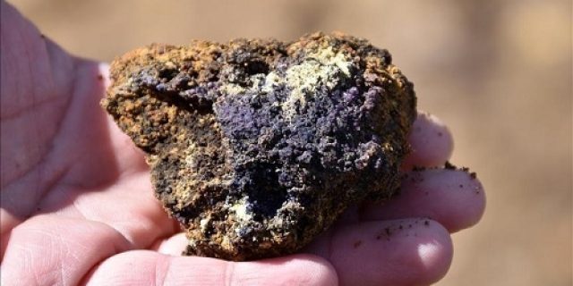 Jepang mengusulkan kerja sama pada elemen tanah jarang dalam pembicaraan tarif AS