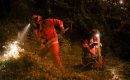 Narapidana memainkan peran penting dalam memadamkan kebakaran di California, mengapa??